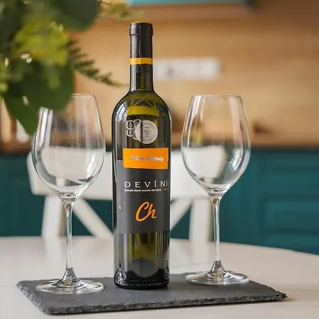 S Velkou Terasou A Balkonom V Centre Mesta! Lägenhet Bratislava